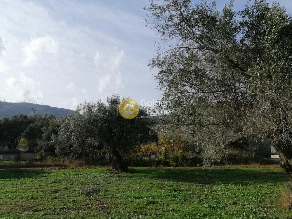 Οικόπεδο στην Αγία Μαρίνα, Παιανία — Φωτογραφία 8 από 8