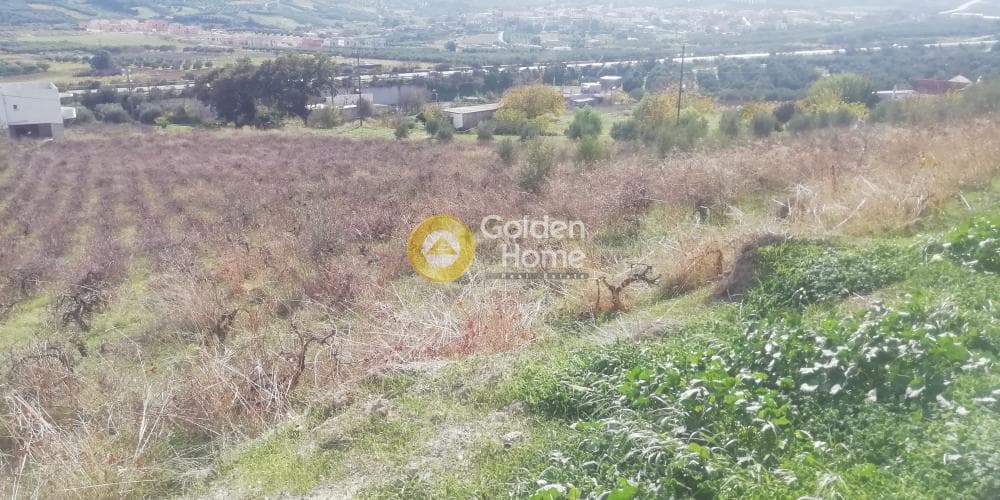 Οικόπεδο στην Κερασιά, Τετραχώρι — Φωτογραφία 2 από 12