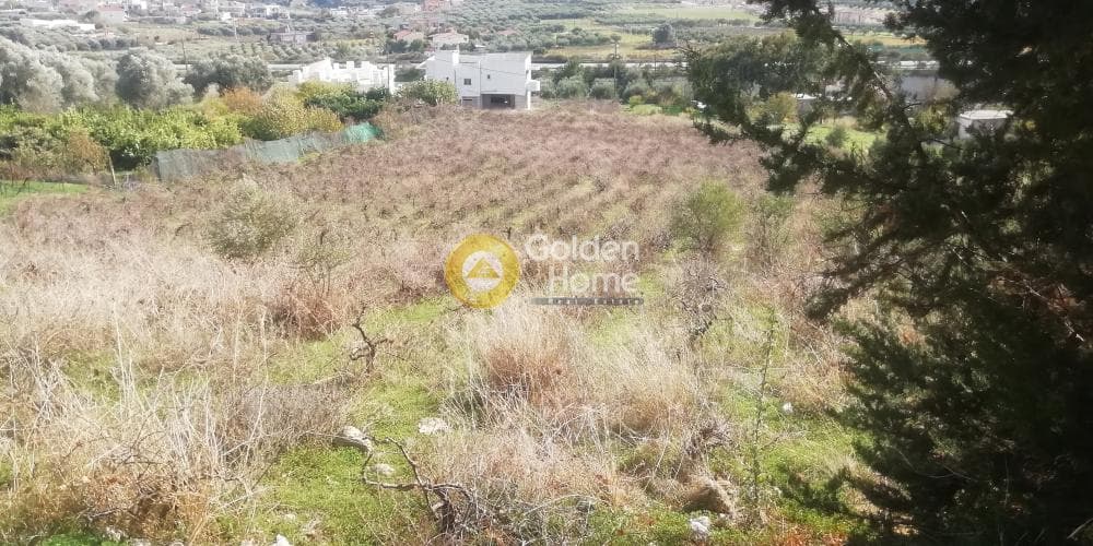 Οικόπεδο στην Κερασιά, Τετραχώρι — Φωτογραφία 3 από 12