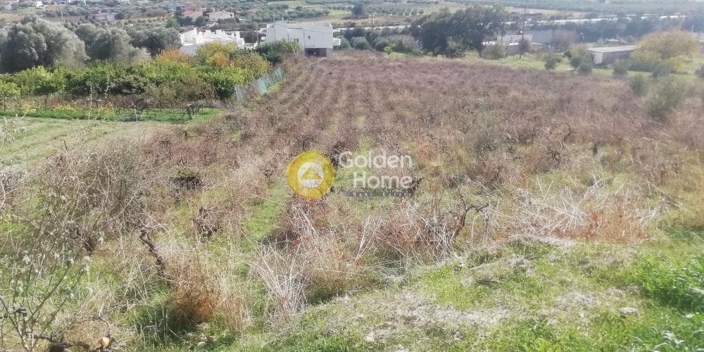 Οικόπεδο στην Κερασιά, Τετραχώρι — Φωτογραφία 4 από 12