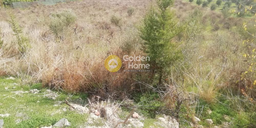 Οικόπεδο στην Κερασιά, Τετραχώρι — Φωτογραφία 5 από 12