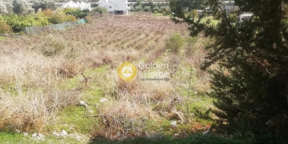 Οικόπεδο στην Κερασιά, Τετραχώρι — Φωτογραφία 7 από 12