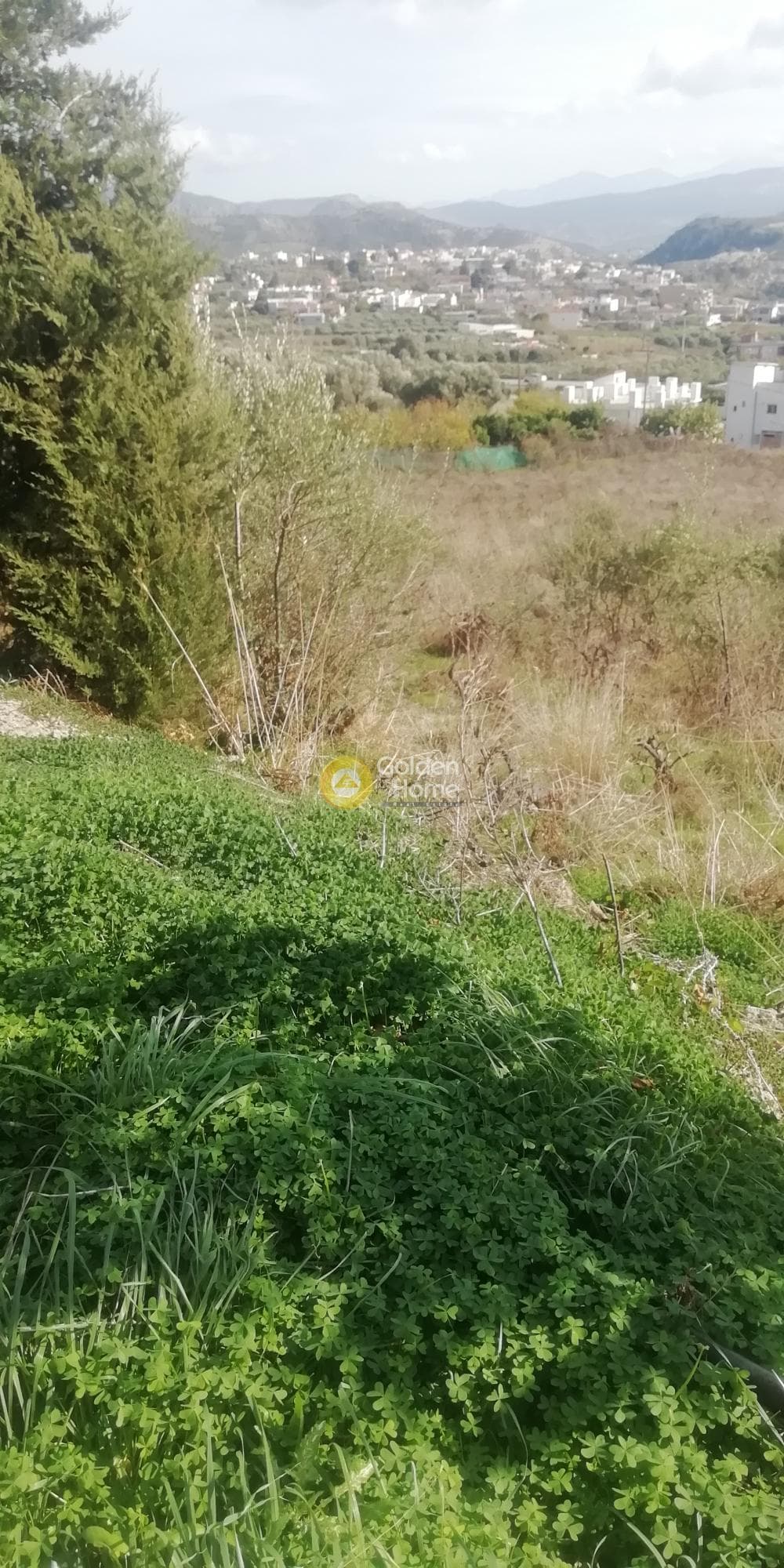 Οικόπεδο στην Κερασιά, Τετραχώρι — Φωτογραφία 12 από 12