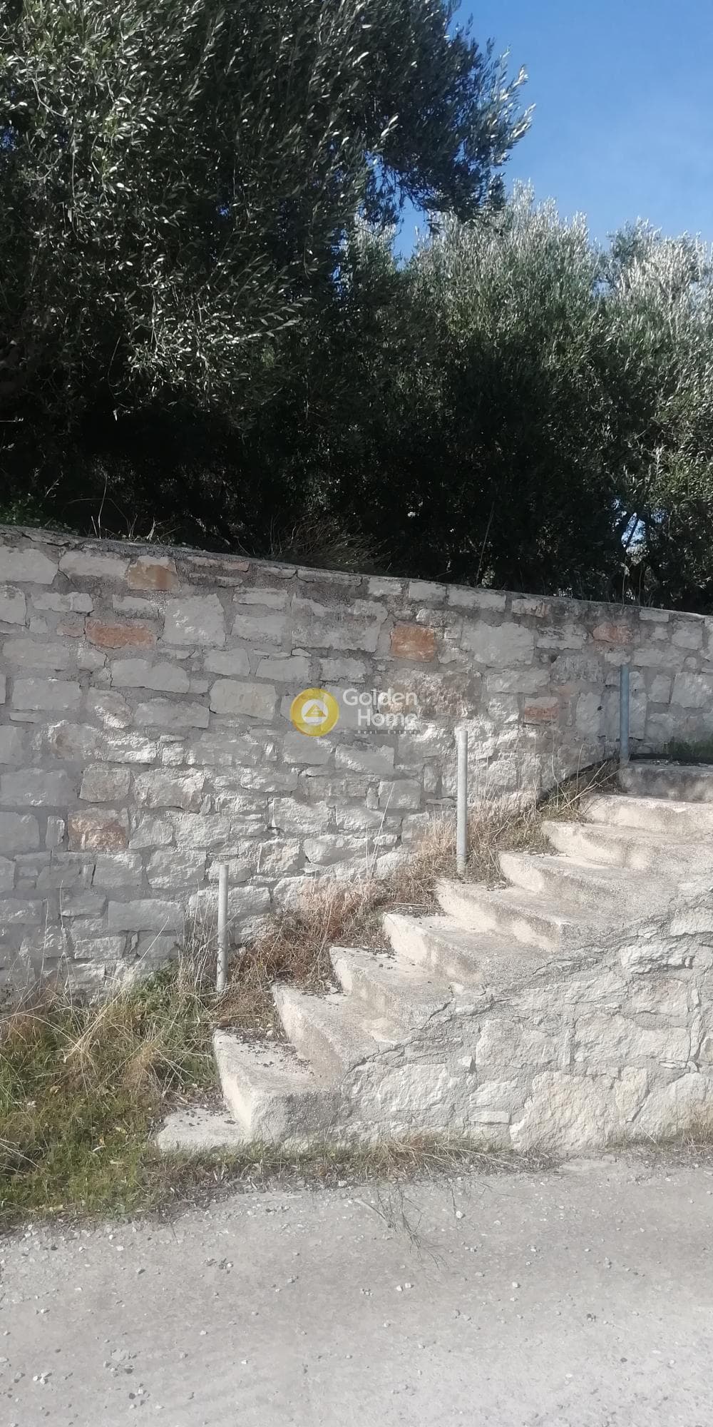 Οικόπεδο στην Κερασιά, Τετραχώρι — Φωτογραφία 8 από 10