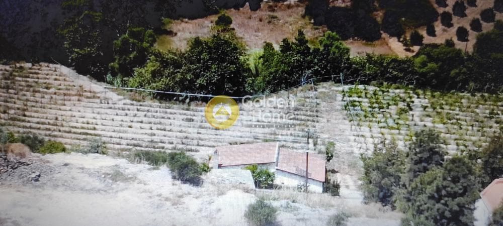 Οικόπεδο στην Αυγενική, Τετραχώρι — Φωτογραφία 2 από 2