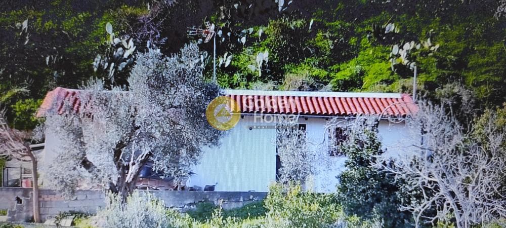 Αγροτεμάχιο στην Αυγενική, Τετραχώρι — Φωτογραφία 2 από 9