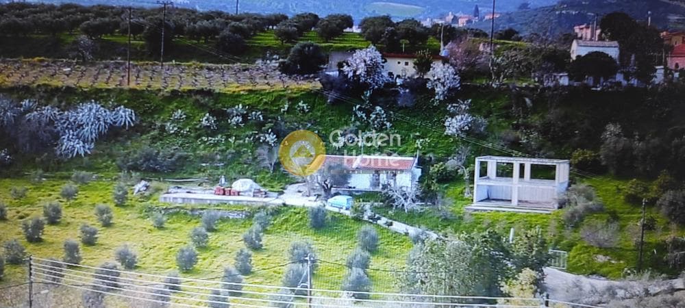 Αγροτεμάχιο στην Αυγενική, Τετραχώρι — Φωτογραφία 8 από 9