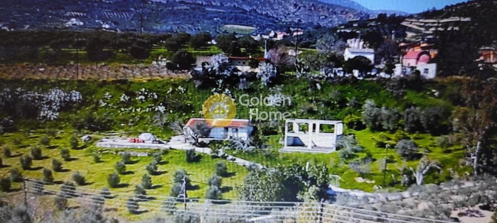 Αγροτεμάχιο στην Αυγενική, Τετραχώρι — Φωτογραφία 9 από 9