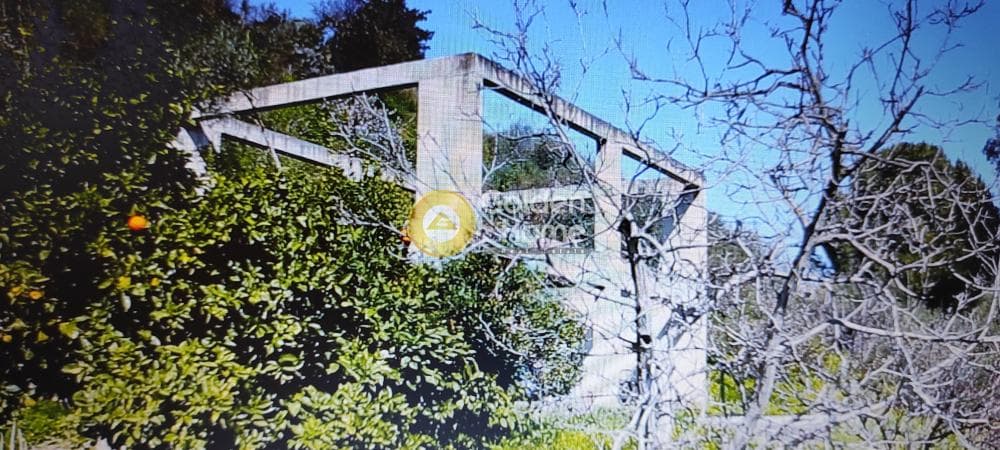 Αγροτεμάχιο στην Αυγενική, Τετραχώρι — Φωτογραφία 5 από 9