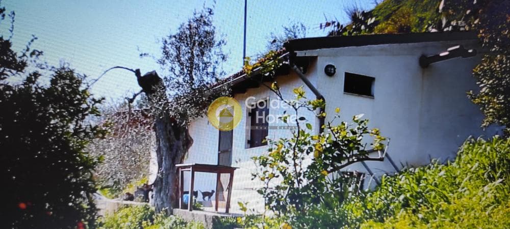 Αγροτεμάχιο στην Αυγενική, Τετραχώρι — Φωτογραφία 4 από 9