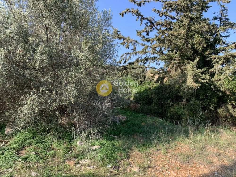 Parcel in Agia Marina, Koropi — Photo 1 of 3