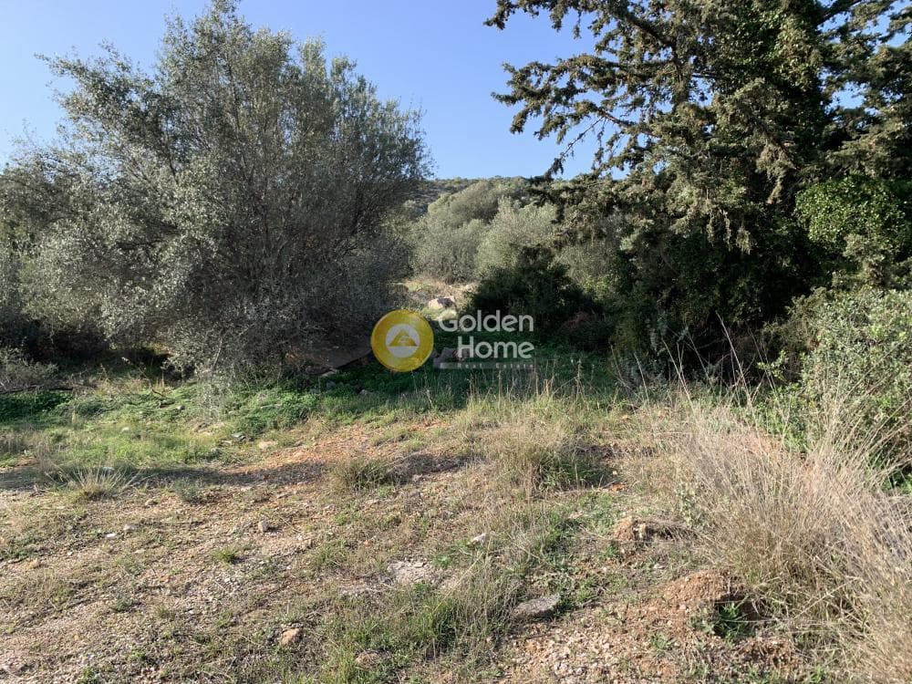 Parcel in Agia Marina, Koropi — Photo 3 of 3