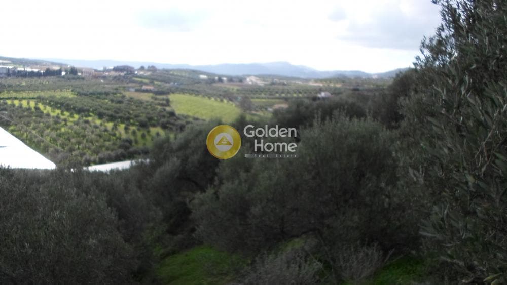 Οικόπεδο στην Κουνάβοι, Αρχάνες — Φωτογραφία 11 από 29