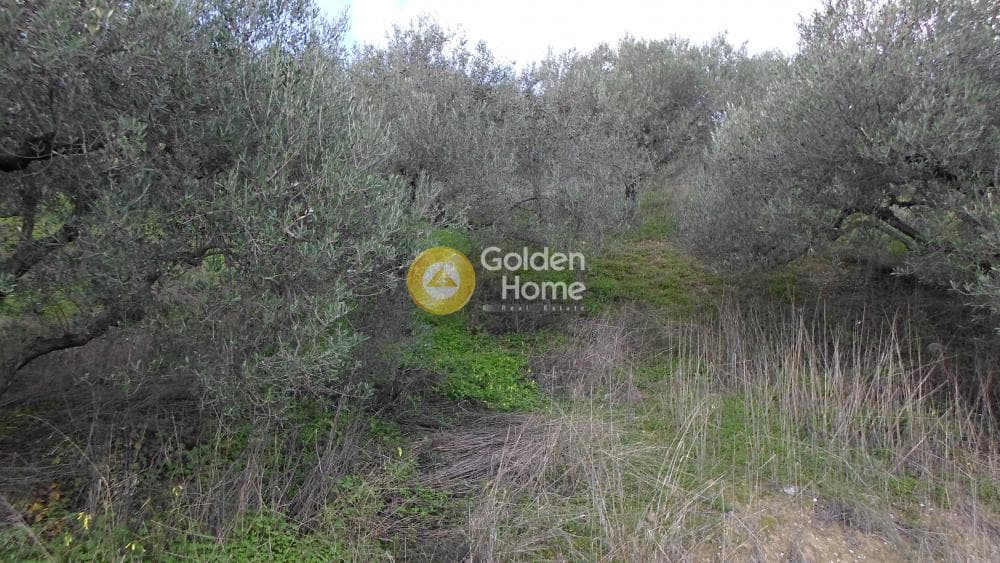 Οικόπεδο στην Κουνάβοι, Αρχάνες — Φωτογραφία 13 από 29