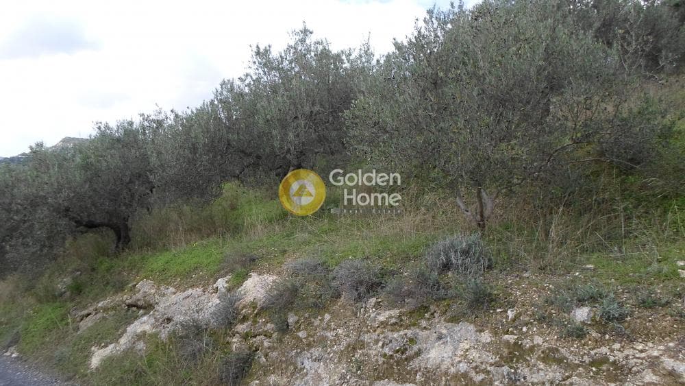 Οικόπεδο στην Κουνάβοι, Αρχάνες — Φωτογραφία 24 από 29