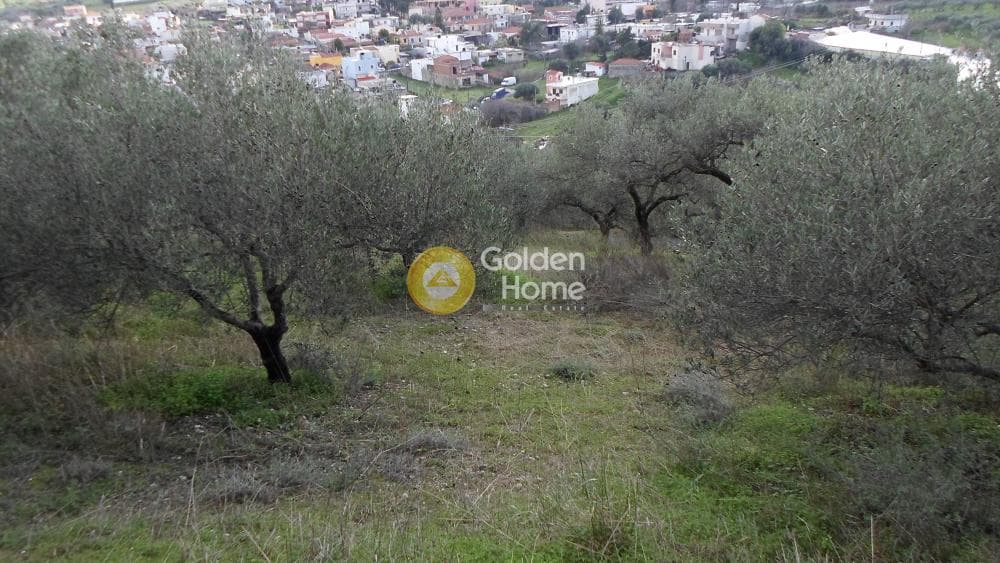 Οικόπεδο στην Κουνάβοι, Αρχάνες — Φωτογραφία 10 από 28