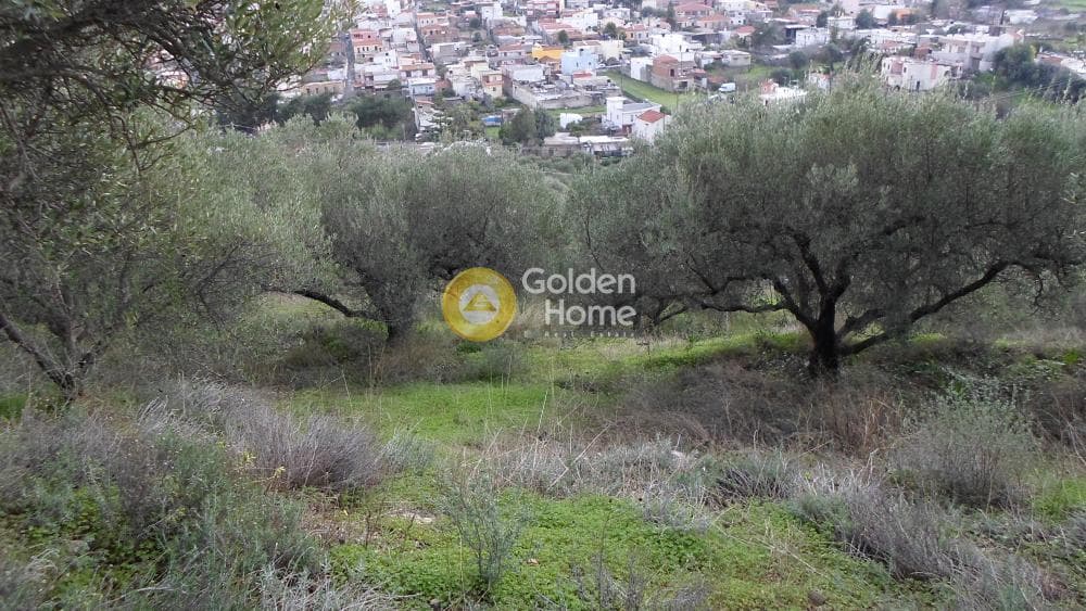 Οικόπεδο στην Κουνάβοι, Αρχάνες — Φωτογραφία 9 από 28