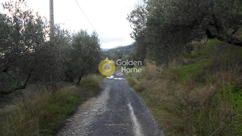 Οικόπεδο στην Κουνάβοι, Αρχάνες — Φωτογραφία 17 από 28
