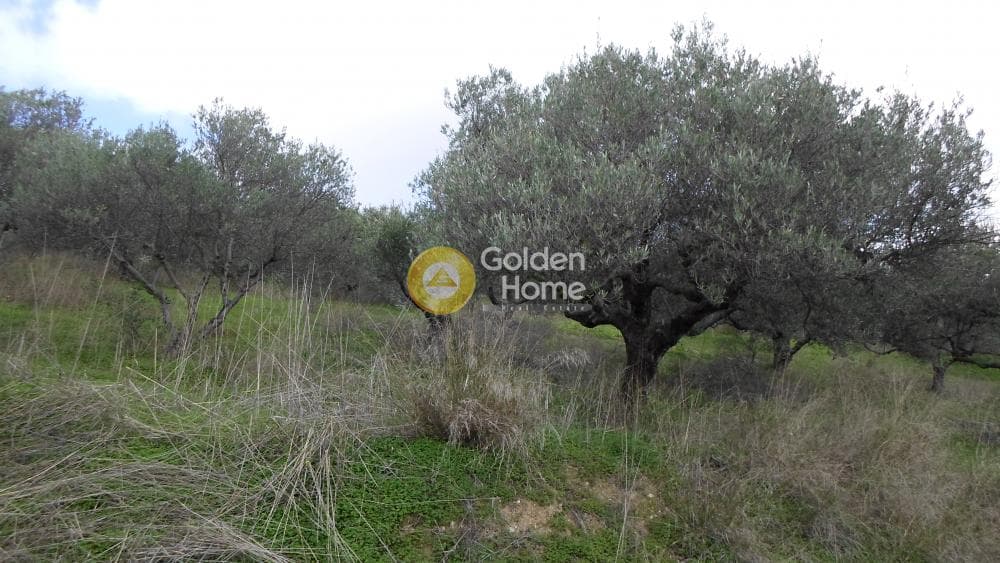Οικόπεδο στην Κουνάβοι, Αρχάνες — Φωτογραφία 19 από 28