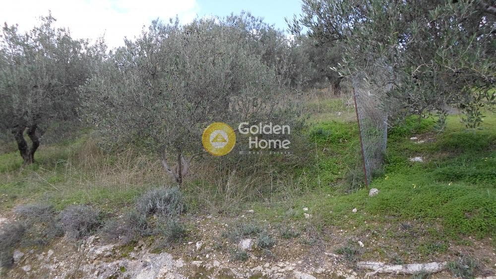 Οικόπεδο στην Κουνάβοι, Αρχάνες — Φωτογραφία 20 από 28