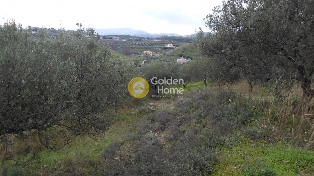 Οικόπεδο στην Κουνάβοι, Αρχάνες — Φωτογραφία 27 από 28