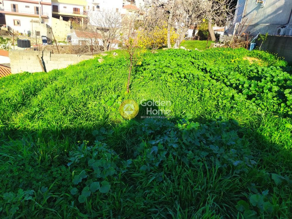 Οικόπεδο στην Επάνω Αρχάνες, Αρχάνες — Φωτογραφία 10 από 22