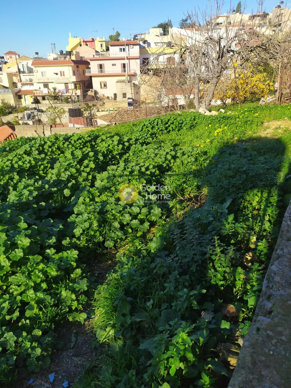Οικόπεδο στην Επάνω Αρχάνες, Αρχάνες — Φωτογραφία 18 από 22