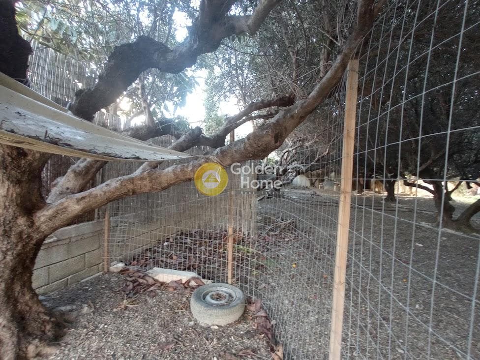 Building Plot in Agia Triada, Heraclion Cretes — Photo 4 of 6