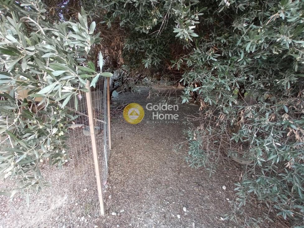 Building Plot in Agia Triada, Heraclion Cretes — Photo 5 of 6