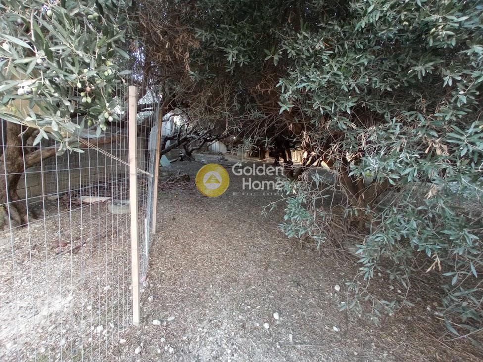 Building Plot in Agia Triada, Heraclion Cretes — Photo 6 of 6
