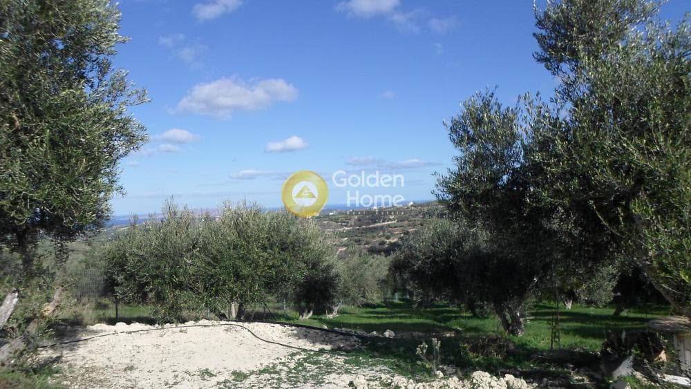Parcel in Stamnoi, Episkopi — Photo 1 of 12