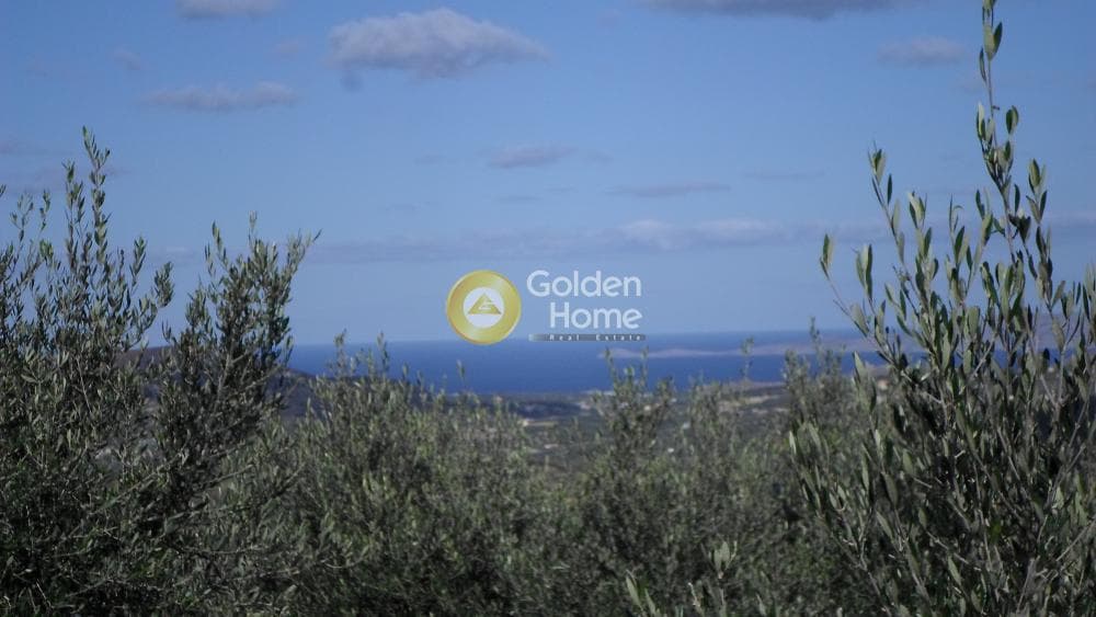 Parcel in Stamnoi, Episkopi — Photo 3 of 12