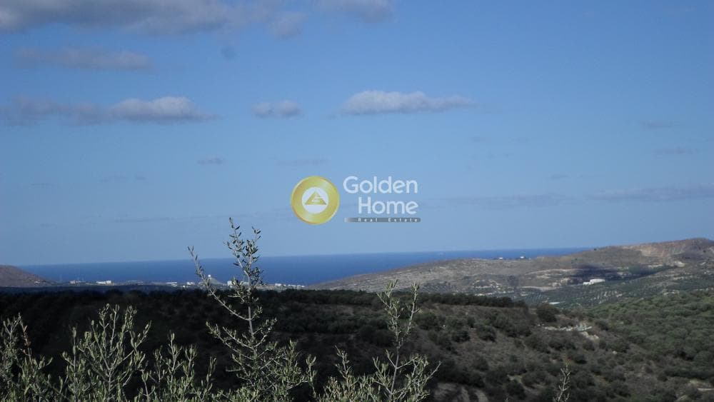 Parcel in Stamnoi, Episkopi — Photo 7 of 12