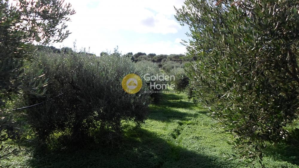 Parcel in Stamnoi, Episkopi — Photo 8 of 12