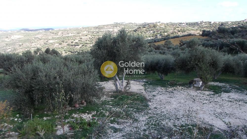Parcel in Stamnoi, Episkopi — Photo 12 of 12