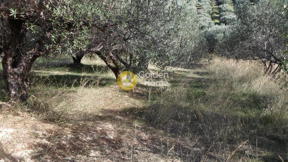 Parcel in Fortetsa, Heraclion Cretes — Photo 1 of 7