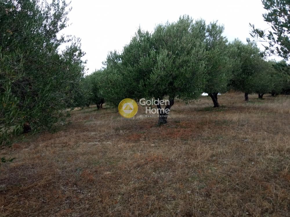 Building Plot in Gournes, Temenos — Photo 3 of 13