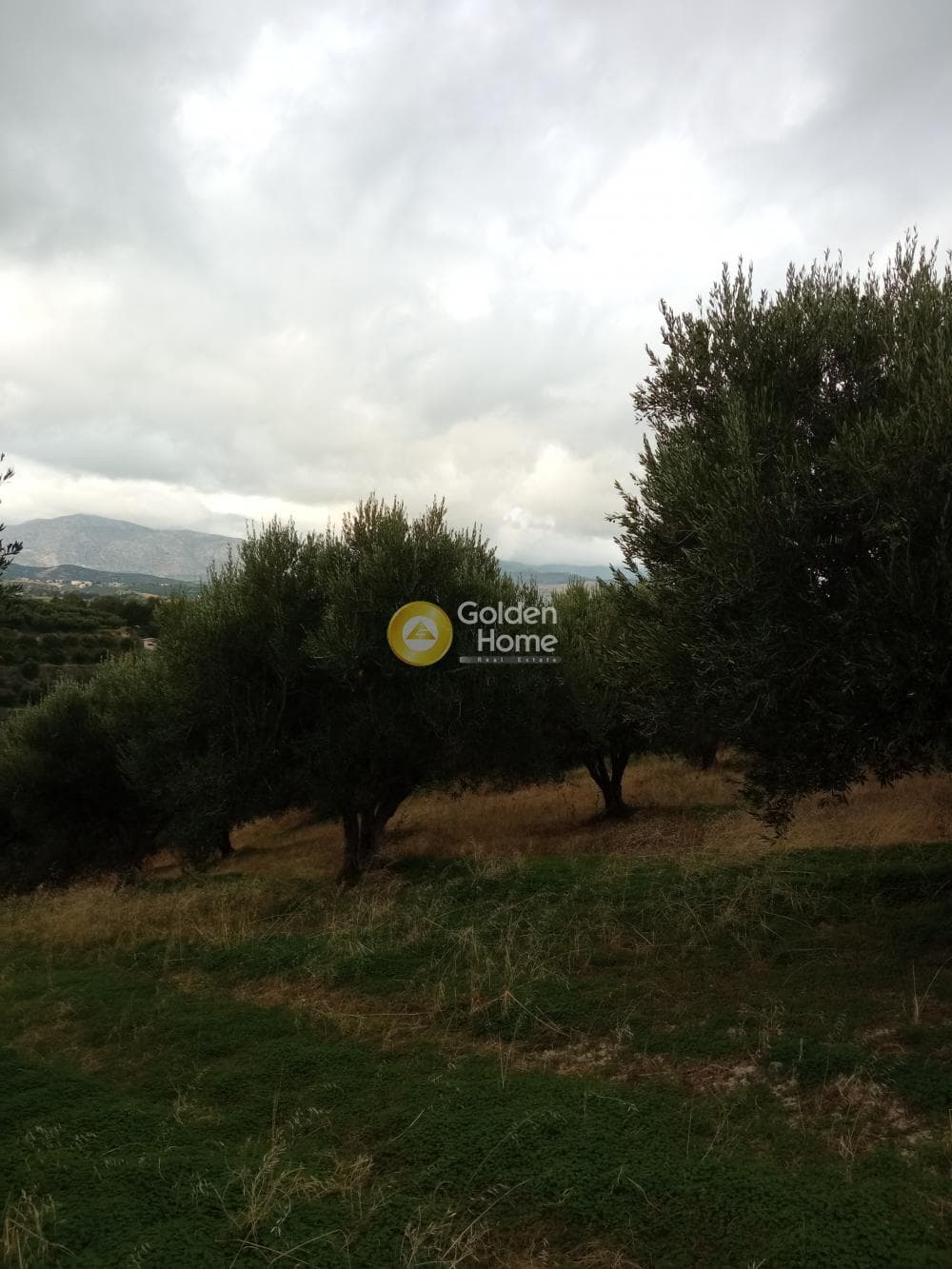 Building Plot in Gournes, Temenos — Photo 5 of 13