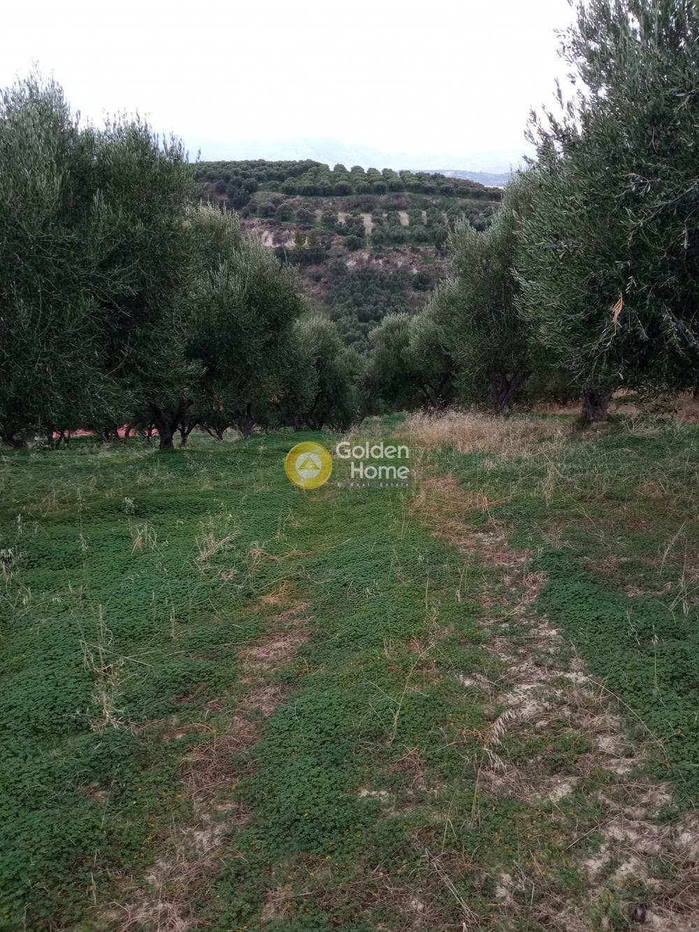 Building Plot in Gournes, Temenos — Photo 4 of 13