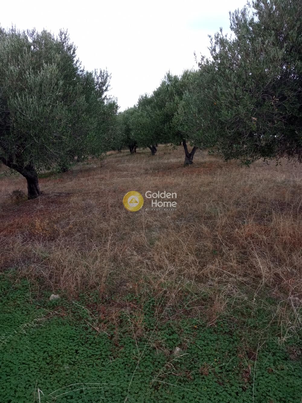 Building Plot in Gournes, Temenos — Photo 6 of 13
