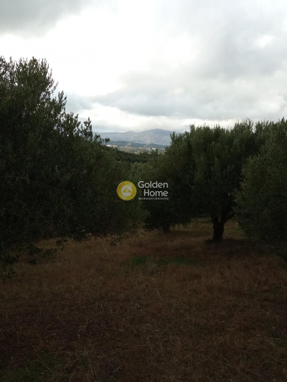 Building Plot in Gournes, Temenos — Photo 10 of 13