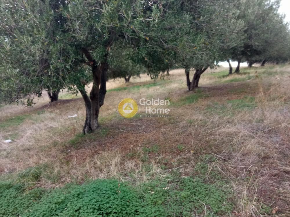 Building Plot in Gournes, Temenos — Photo 13 of 13
