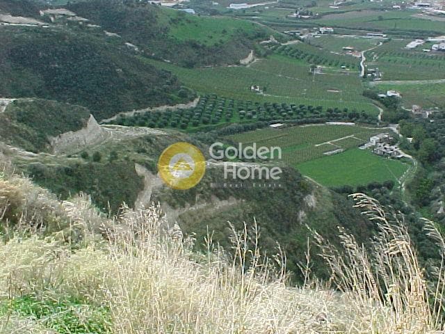 Parcel in Vasileies, Archanes — Photo 2 of 2