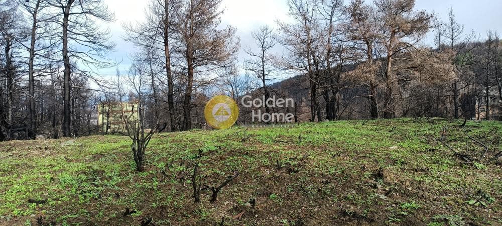 Οικόπεδο στην Αγία Τριάδα, Αφίδνες — Φωτογραφία 11 από 18