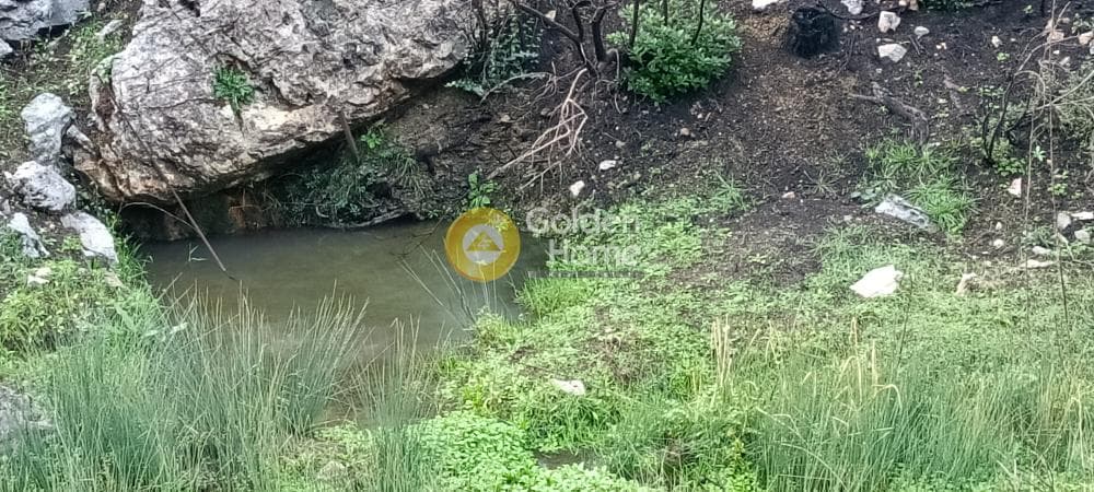 Οικόπεδο στην Αγία Τριάδα, Αφίδνες — Φωτογραφία 12 από 18