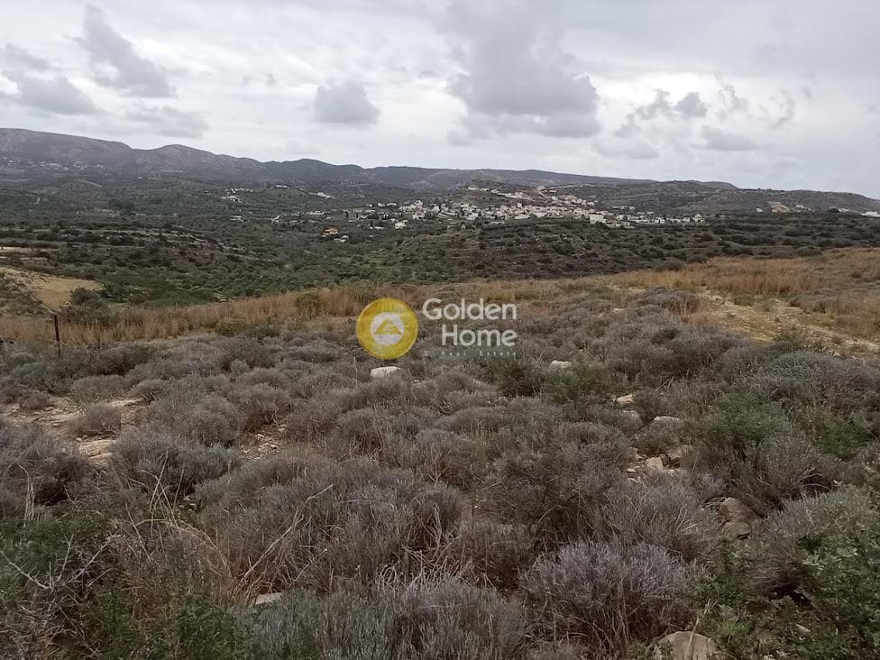Αγροτεμάχιο στην Καμηλάρι, Τυμπάκι — Φωτογραφία 16 από 21