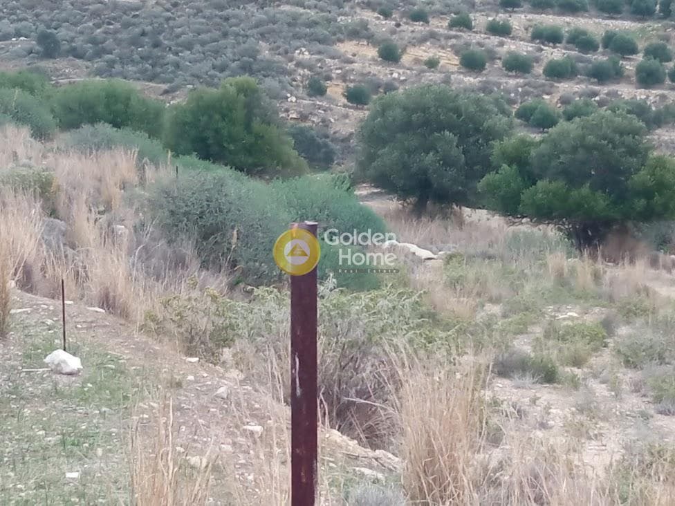 Αγροτεμάχιο στην Καμηλάρι, Τυμπάκι — Φωτογραφία 4 από 21