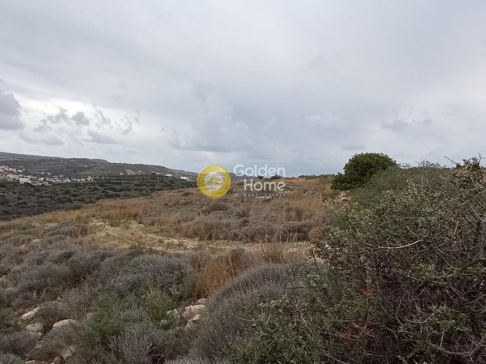 Αγροτεμάχιο στην Καμηλάρι, Τυμπάκι — Φωτογραφία 10 από 21