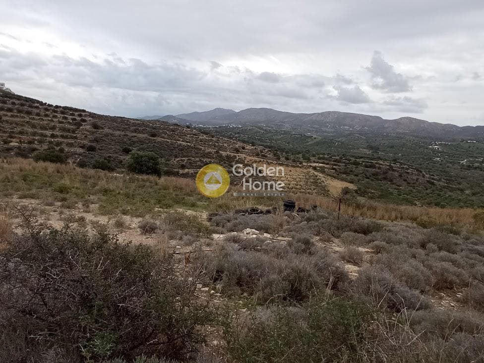 Αγροτεμάχιο στην Καμηλάρι, Τυμπάκι — Φωτογραφία 11 από 21