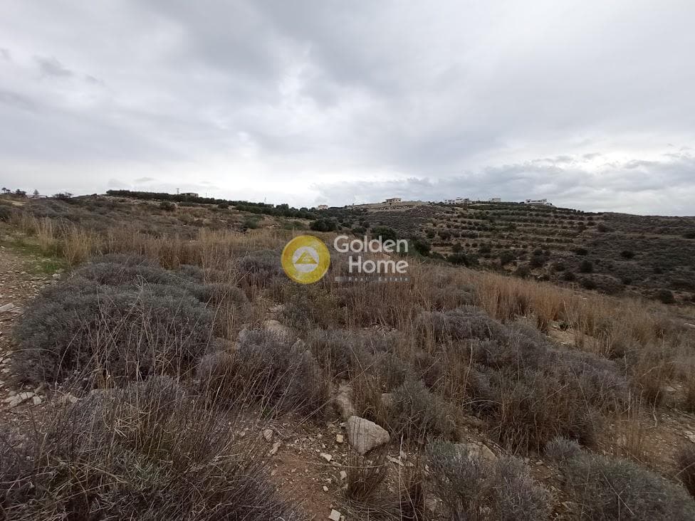 Αγροτεμάχιο στην Καμηλάρι, Τυμπάκι — Φωτογραφία 19 από 21